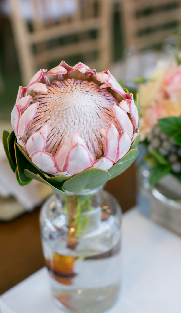 Details-&-Decor
